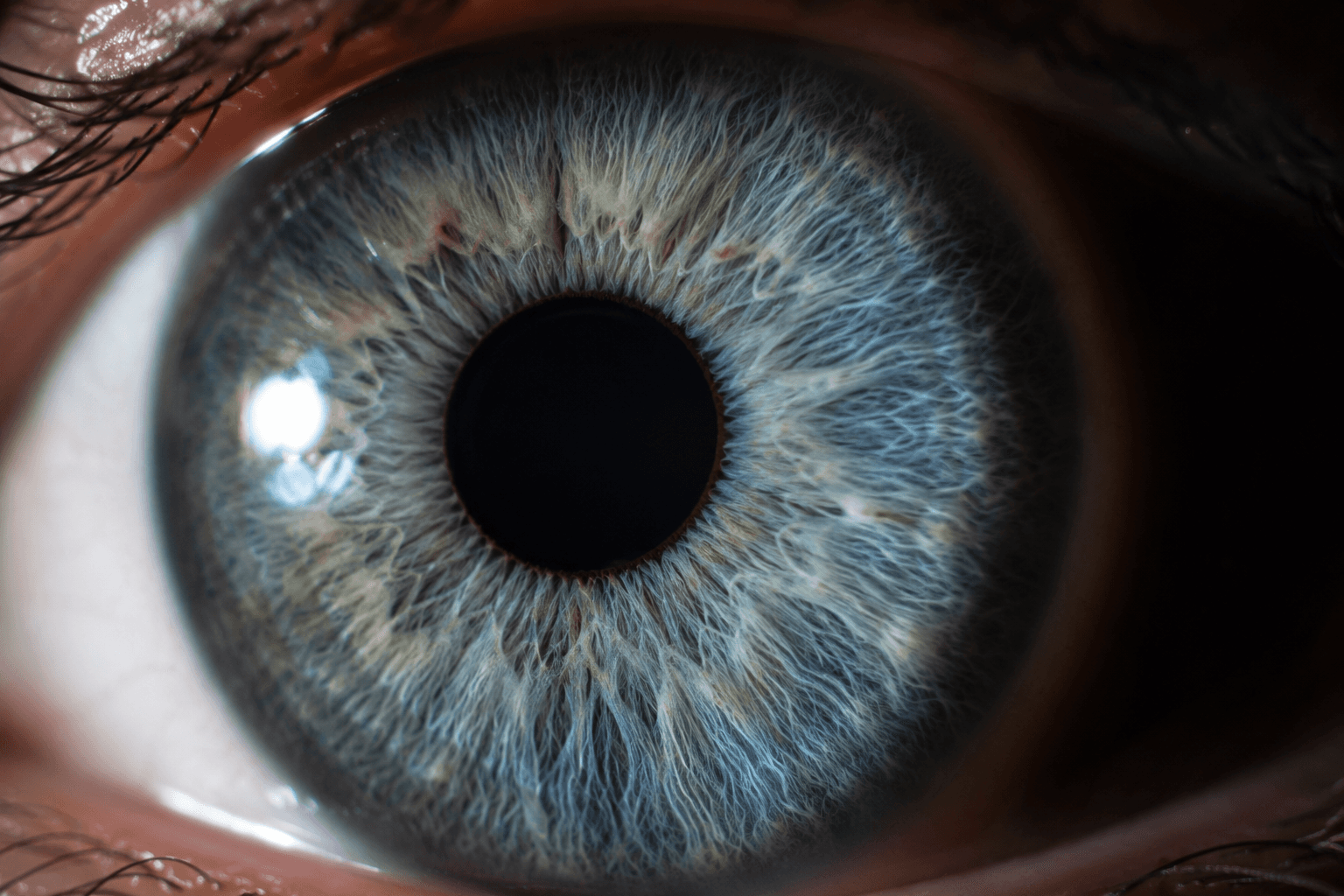 Glaucoma: The Silent Thief of Sight — What You Need to Know